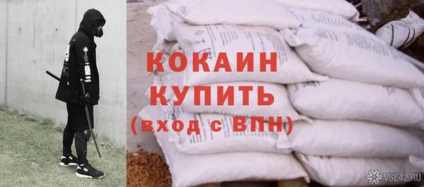 прущие грибы Белокуриха