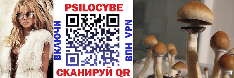 Псилоцибиновые грибы Magic Shrooms  Буй 